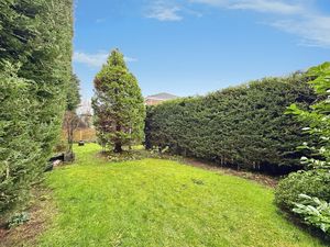 Photo 12- click for photo gallery